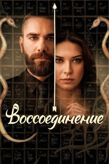 Воссоединение - постер сериала